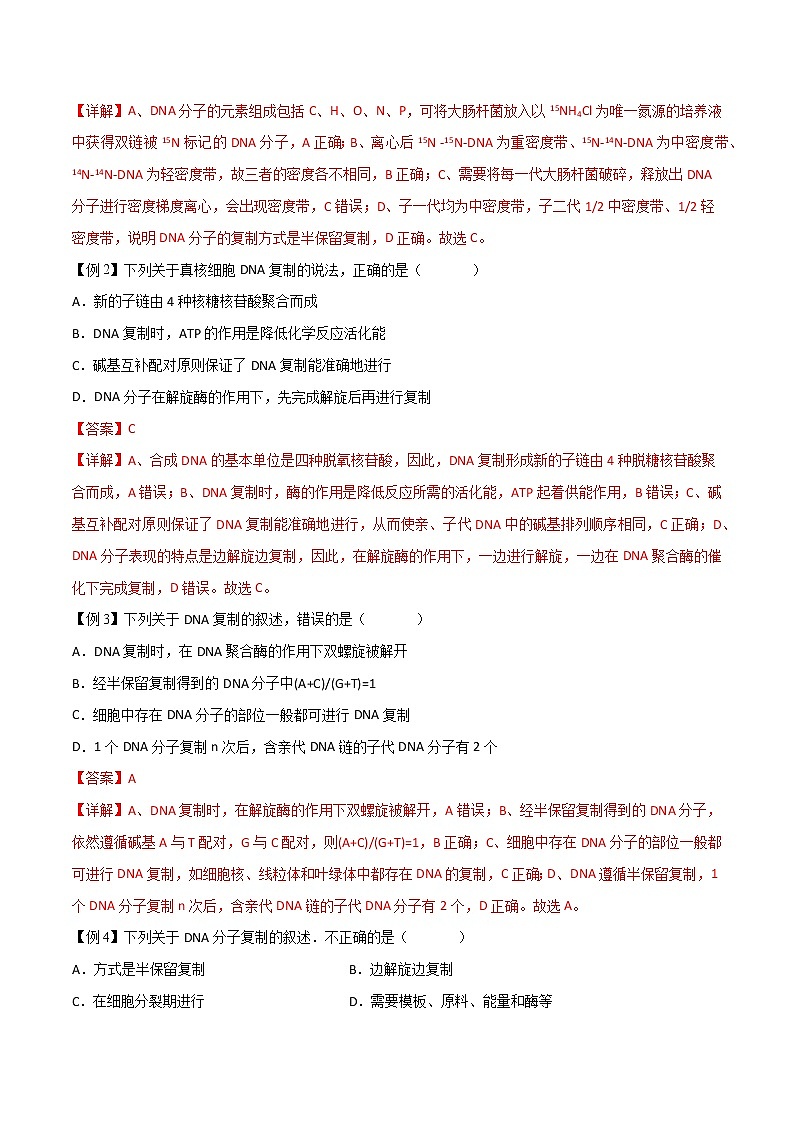 3.3 DNA的复制-2021-2022学年高一下学期生物同步考点精讲精练(人教版2019必修2)(解析版)第2页