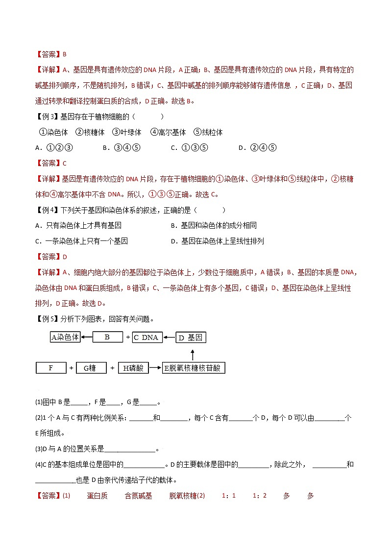 3.4 基因通常是有遗传效应的DNA片段-2021-2022学年高一下学期生物同步考点精讲精练(人教版2019必修2)(解析版)第2页