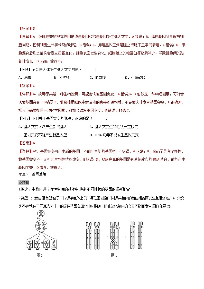 5.1 基因突变和基因重组-2021-2022学年高一下学期生物同步考点精讲精练(人教版2019必修2)课件PPT03