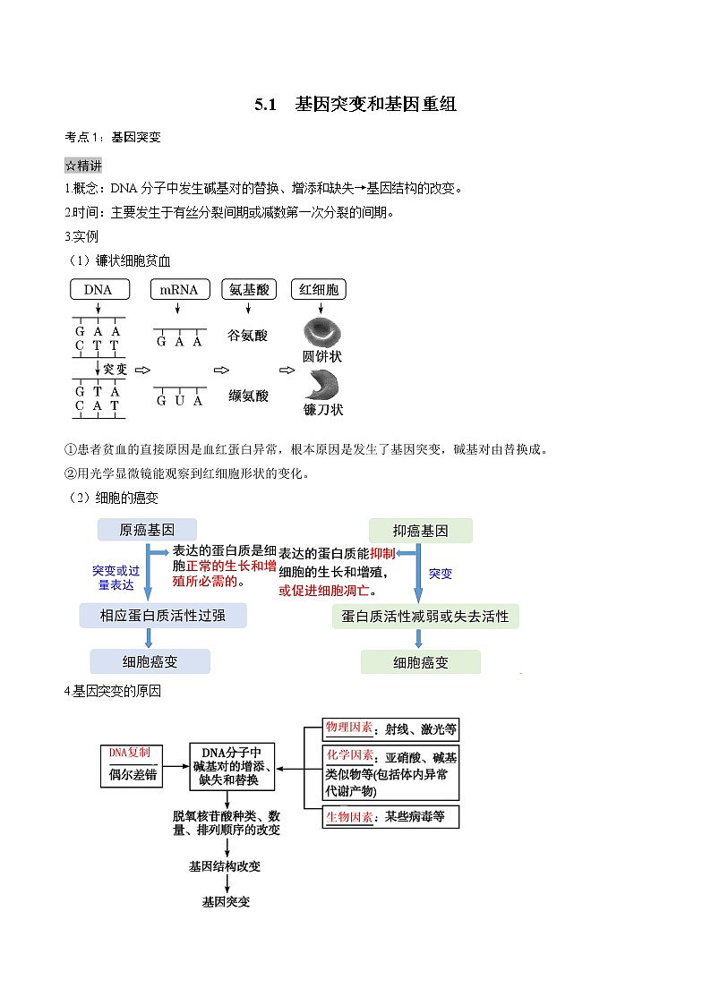 5.1 基因突变和基因重组-2021-2022学年高一下学期生物同步考点精讲精练(人教版2019必修2)课件PPT01