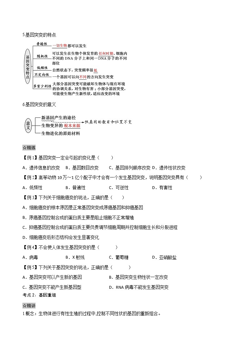 5.1 基因突变和基因重组-2021-2022学年高一下学期生物同步考点精讲精练(人教版2019必修2)课件PPT02