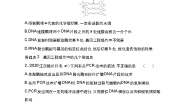 高中生物人教版 (新课标)选修3《现代生物科技专题》专题1 基因工程综合与测试同步测试题