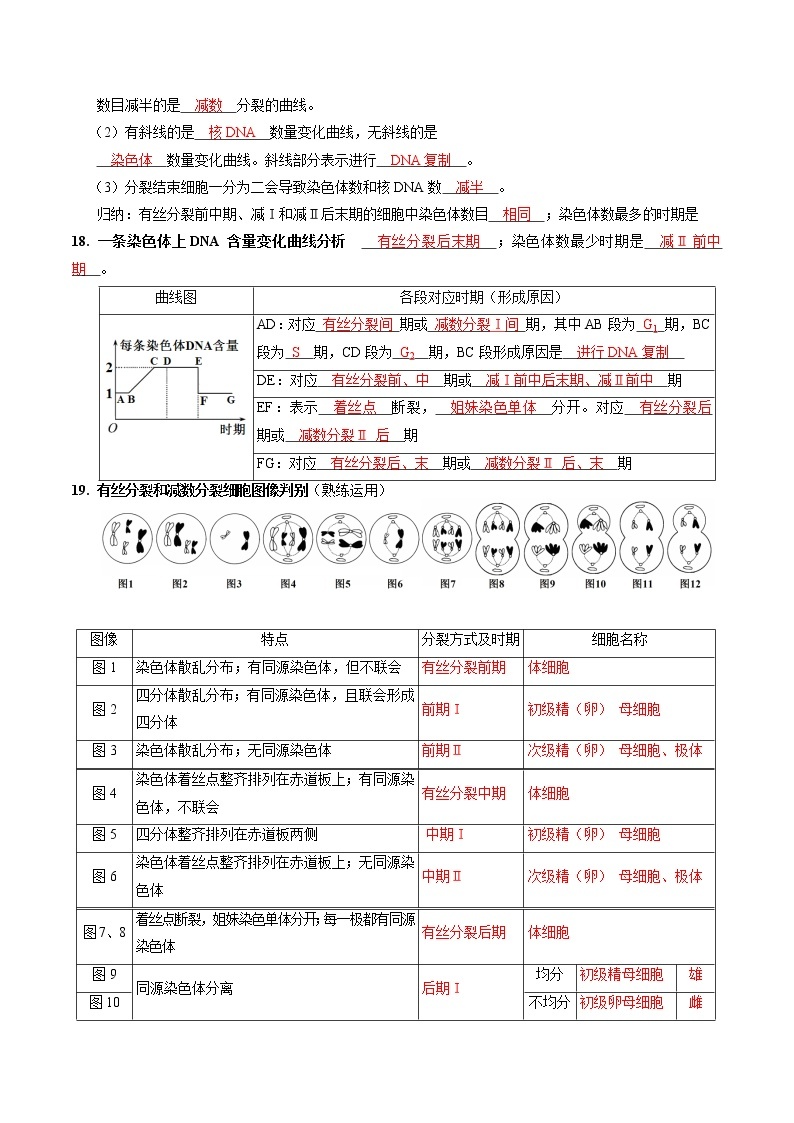 第二章 基因和染色体的关系（教师版）必背知识 高中生物新人教版必修2（2022年）03