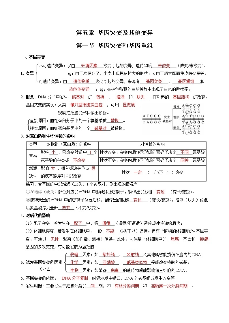 第五章 基因突变及其他变异（教师版）必背知识 高中生物新人教版必修2（2022年）01