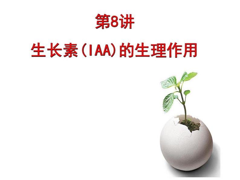 第8讲 生长素的生理作用-备战高考生物一轮复习优质精讲课件(人教版必修3)第1页