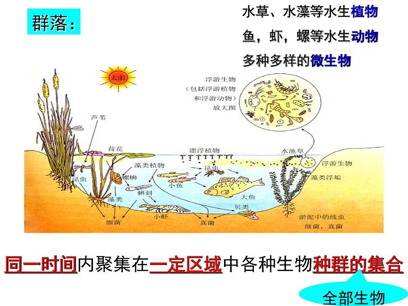 第12讲 群落的结构和演替-备战高考生物一轮复习优质精讲课件(人教版必修3)第2页