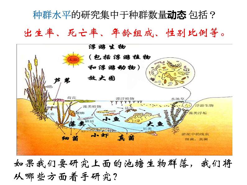 第12讲 群落的结构和演替-备战高考生物一轮复习优质精讲课件(人教版必修3)第3页
