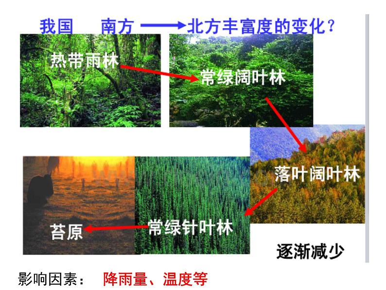 第12讲 群落的结构和演替-备战高考生物一轮复习优质精讲课件(人教版必修3)第6页