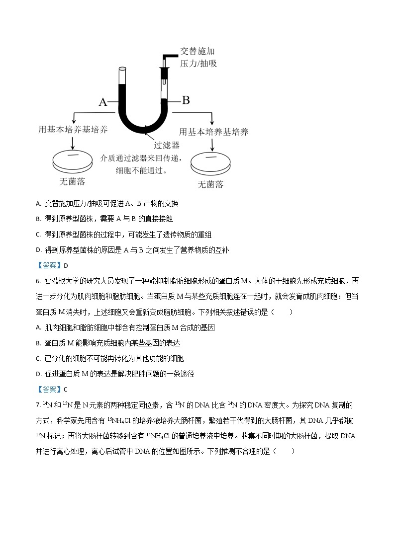 2021届山东省淄博市高三二模生物试题（含答案）03