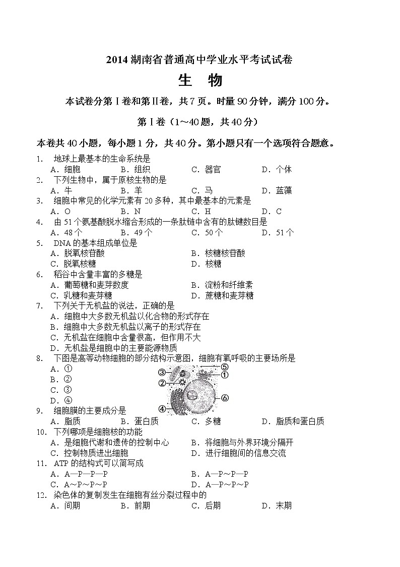 2014年湖南省普通高中學(xué)業(yè)水平考試生物試卷及答案第1頁