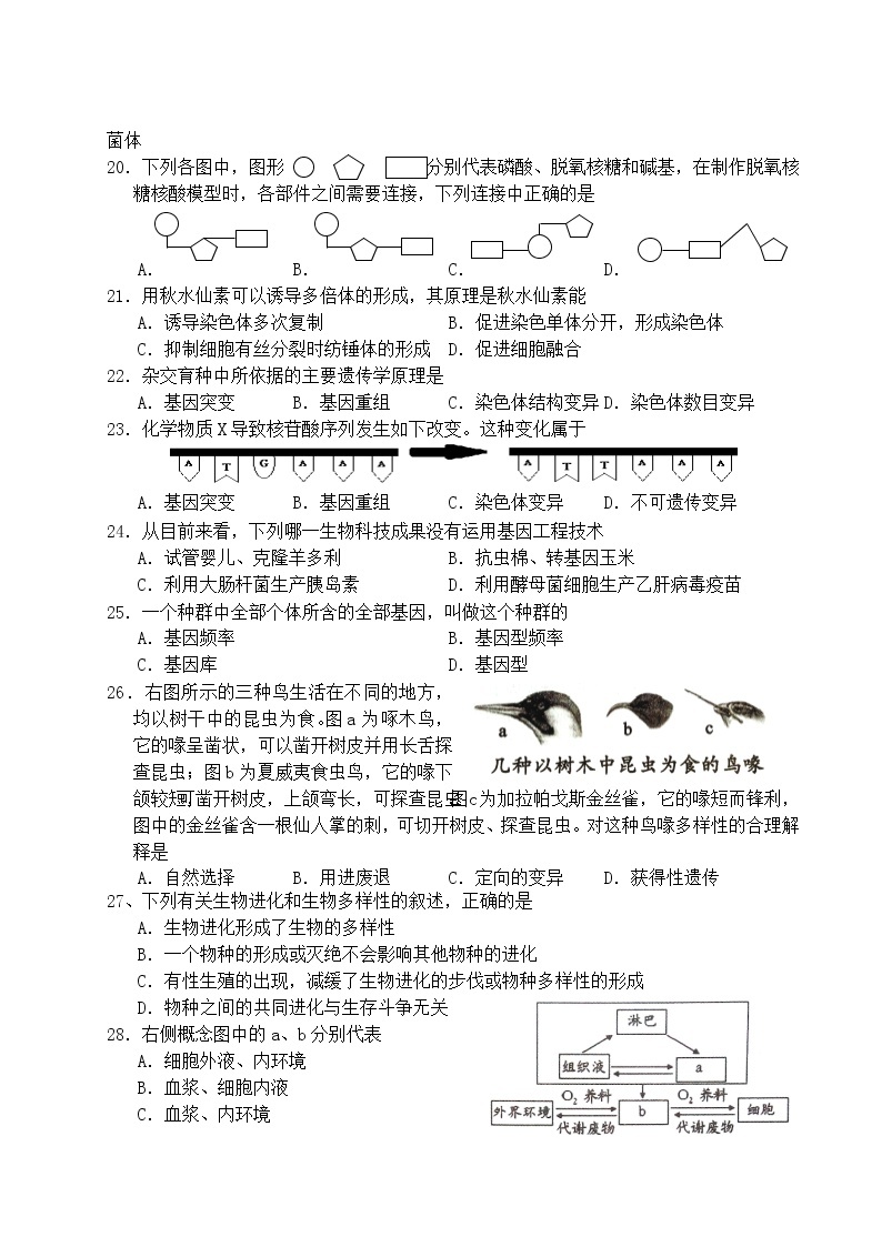 2015年湖南省普通高中学业水平考试生物试卷(Word文档03