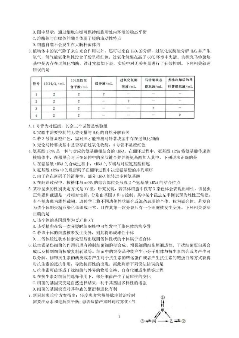 2022届山东省济南市高三下学期2月十一校联考生物试题 PDF版02