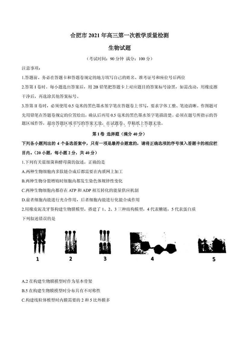 2021届安徽省合肥市高三上学期第一次教学质量检测生物试题 PDF版01