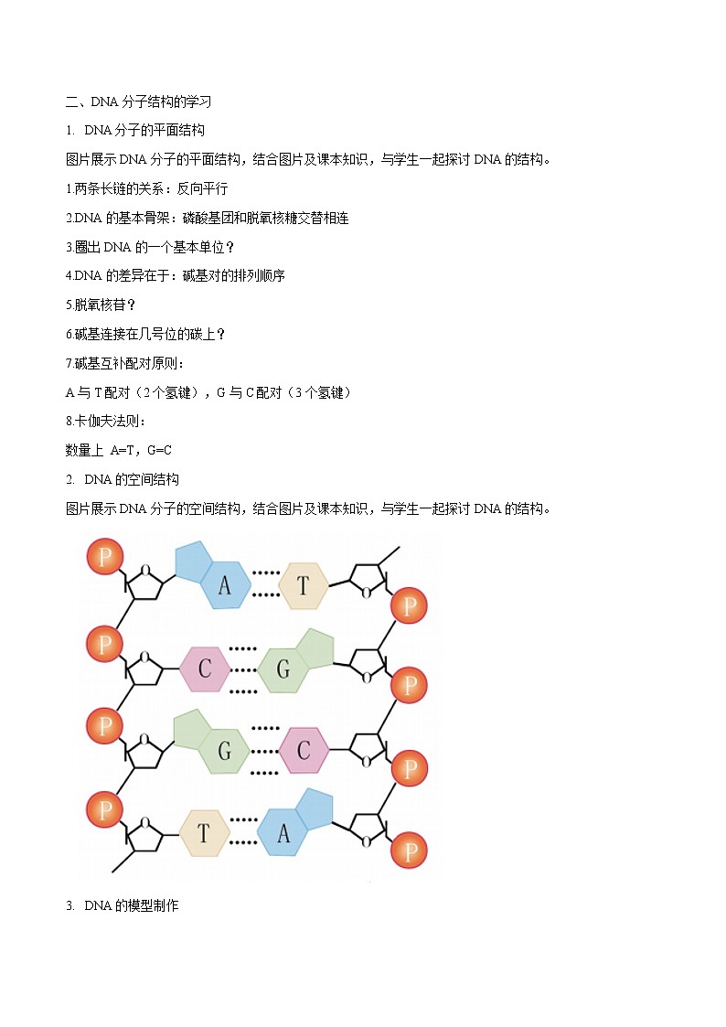3.2 遗传信息编码在DNA分子上 教学设计-浙科版高中生物必修2遗传与进化02