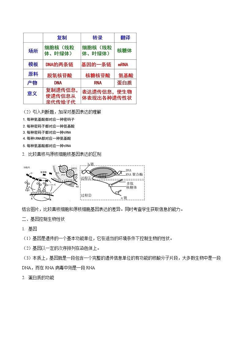 3.4.2 基因控制蛋白质合成 教学设计-浙科版高中生物必修2遗传与进化02