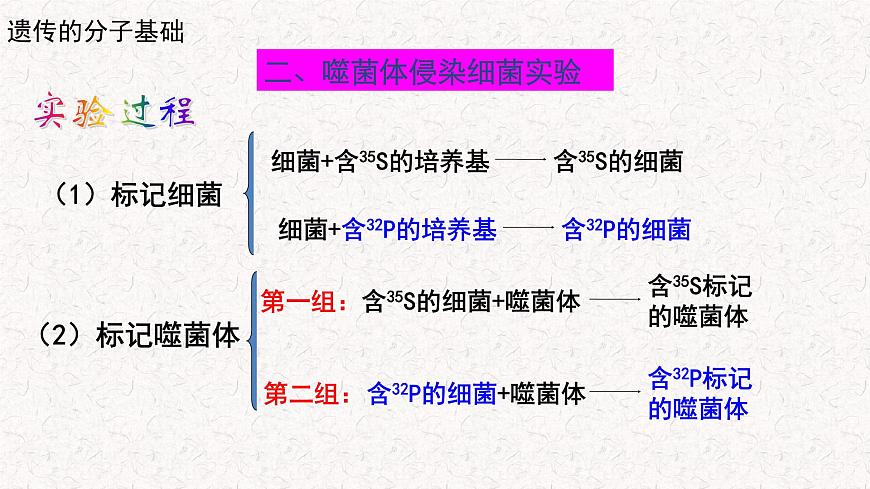 3.1.2 核酸是遺傳物質(zhì) 課件-浙科版高中生物必修2遺傳與進(jìn)化(共19張PPT)第6頁