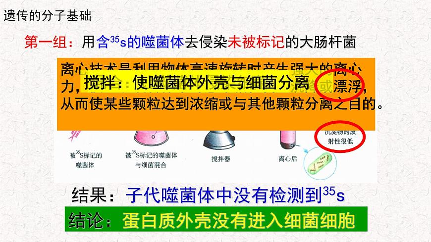 3.1.2 核酸是遺傳物質(zhì) 課件-浙科版高中生物必修2遺傳與進(jìn)化(共19張PPT)第7頁