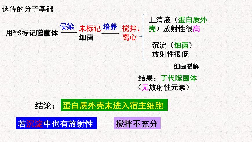 3.1.2 核酸是遺傳物質(zhì) 課件-浙科版高中生物必修2遺傳與進(jìn)化(共19張PPT)第8頁