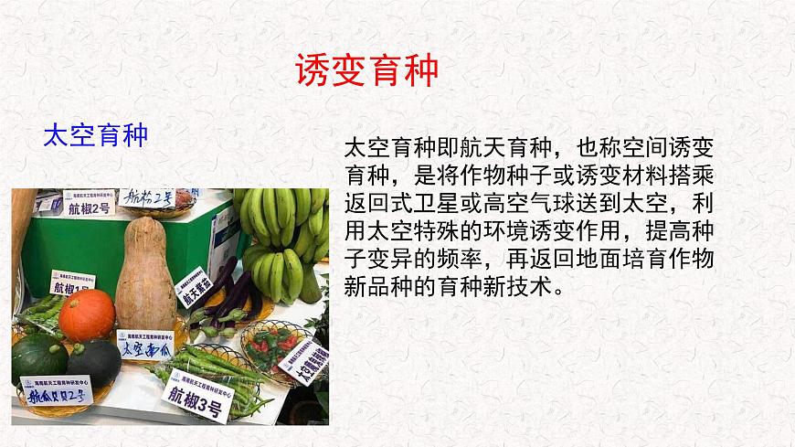 4.1 基因突變可能引起性狀改變 課件-浙科版高中生物必修2遺傳與進化(共22張PPT)第2頁