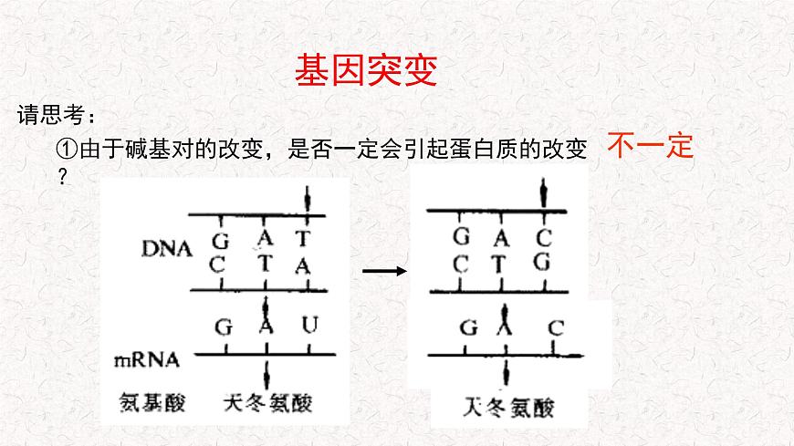 4.1 基因突變可能引起性狀改變 課件-浙科版高中生物必修2遺傳與進化(共22張PPT)第8頁