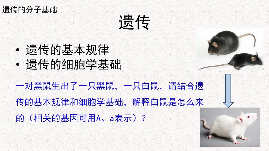 3.1.1 核酸是遺傳物質(zhì) 課件-浙科版高中生物必修2遺傳與進(jìn)化(共16張PPT)第2頁(yè)