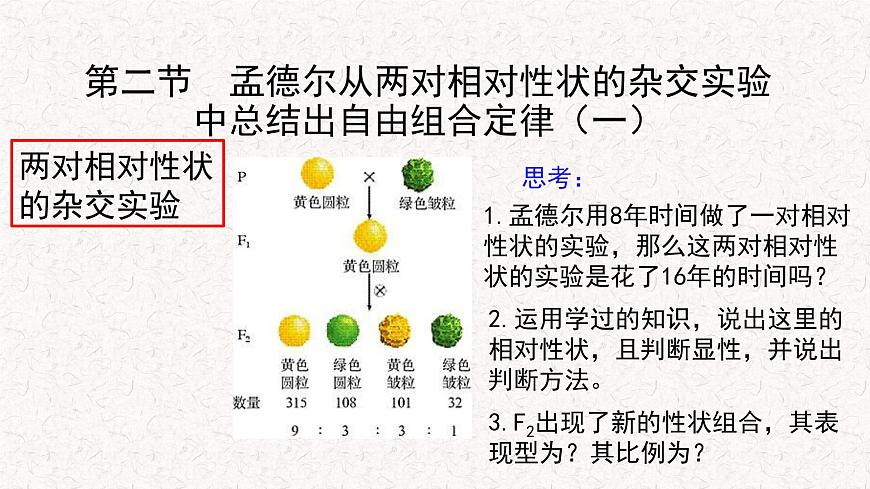 1.2.1 孟德爾從兩對相對性狀的雜交實驗中總結(jié)出自由組合定律 課件-浙科版高中生物必修2遺傳與進(jìn)化(共11張PPT)第2頁