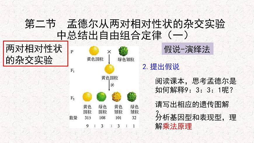 1.2.1 孟德爾從兩對相對性狀的雜交實驗中總結(jié)出自由組合定律 課件-浙科版高中生物必修2遺傳與進(jìn)化(共11張PPT)第4頁