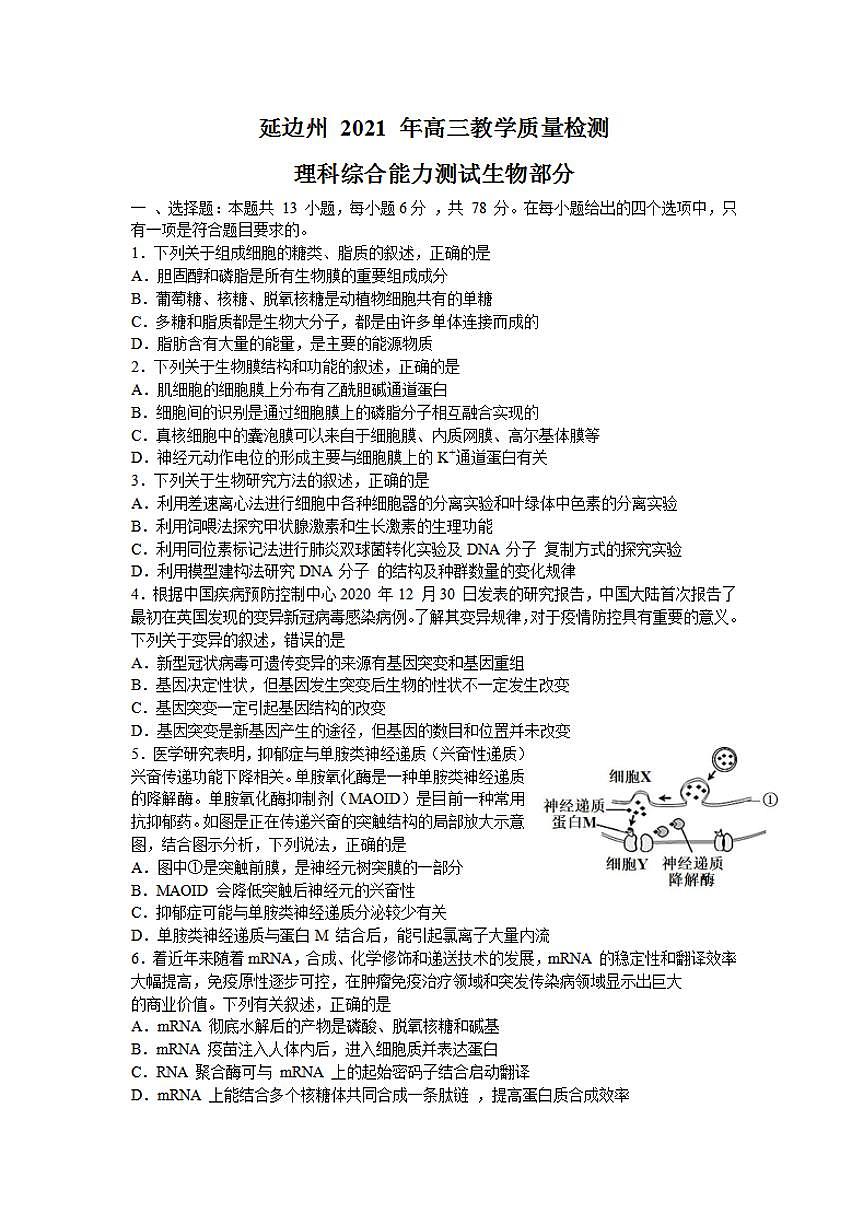 吉林省延邊州2021屆高三2月教學(xué)質(zhì)量檢測（一模）生物試題含答案第1頁