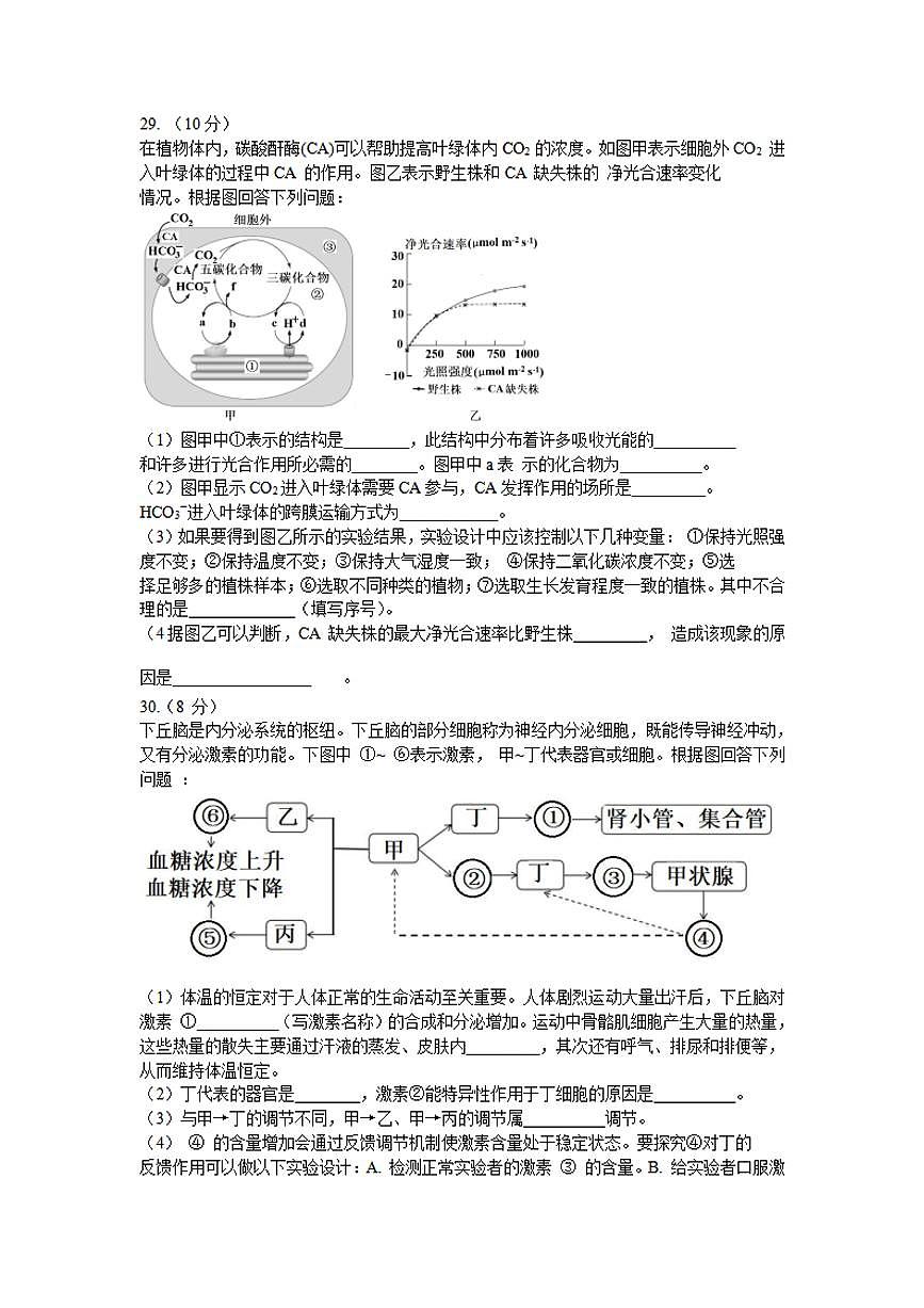 吉林省延邊州2021屆高三2月教學(xué)質(zhì)量檢測（一模）生物試題含答案第2頁
