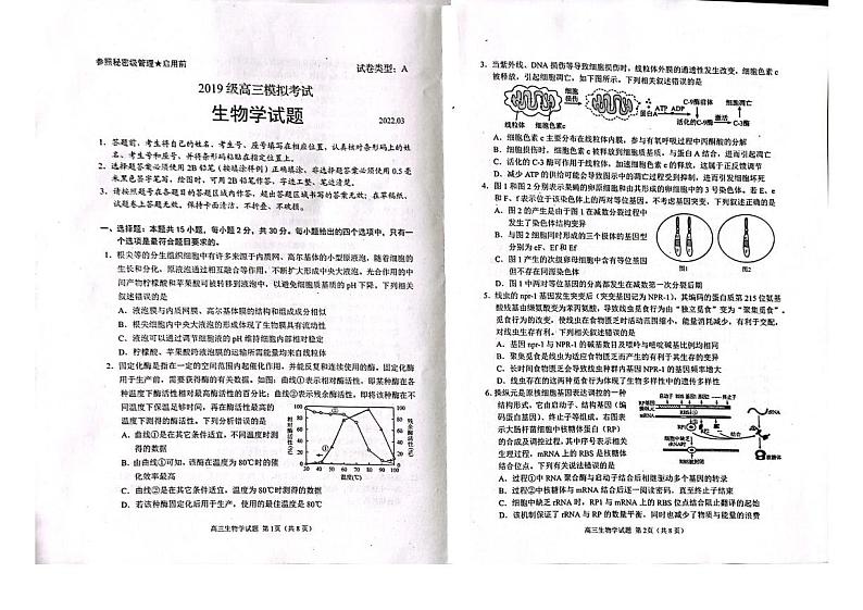 2022届山东省日照市高三一模考试生物试题无答案01