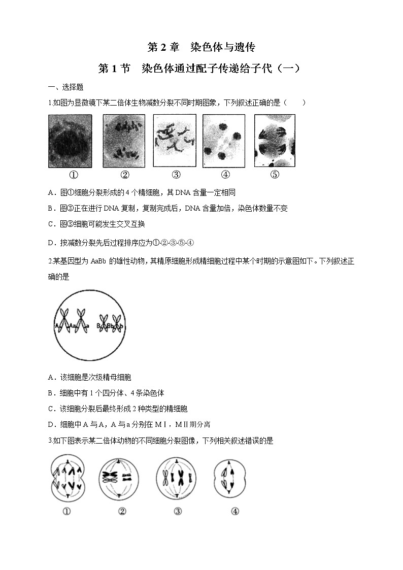 【新教材精創(chuàng)】2.1.1 染色體通過配子傳遞給子代 練習(xí)（2）（原卷版）第1頁