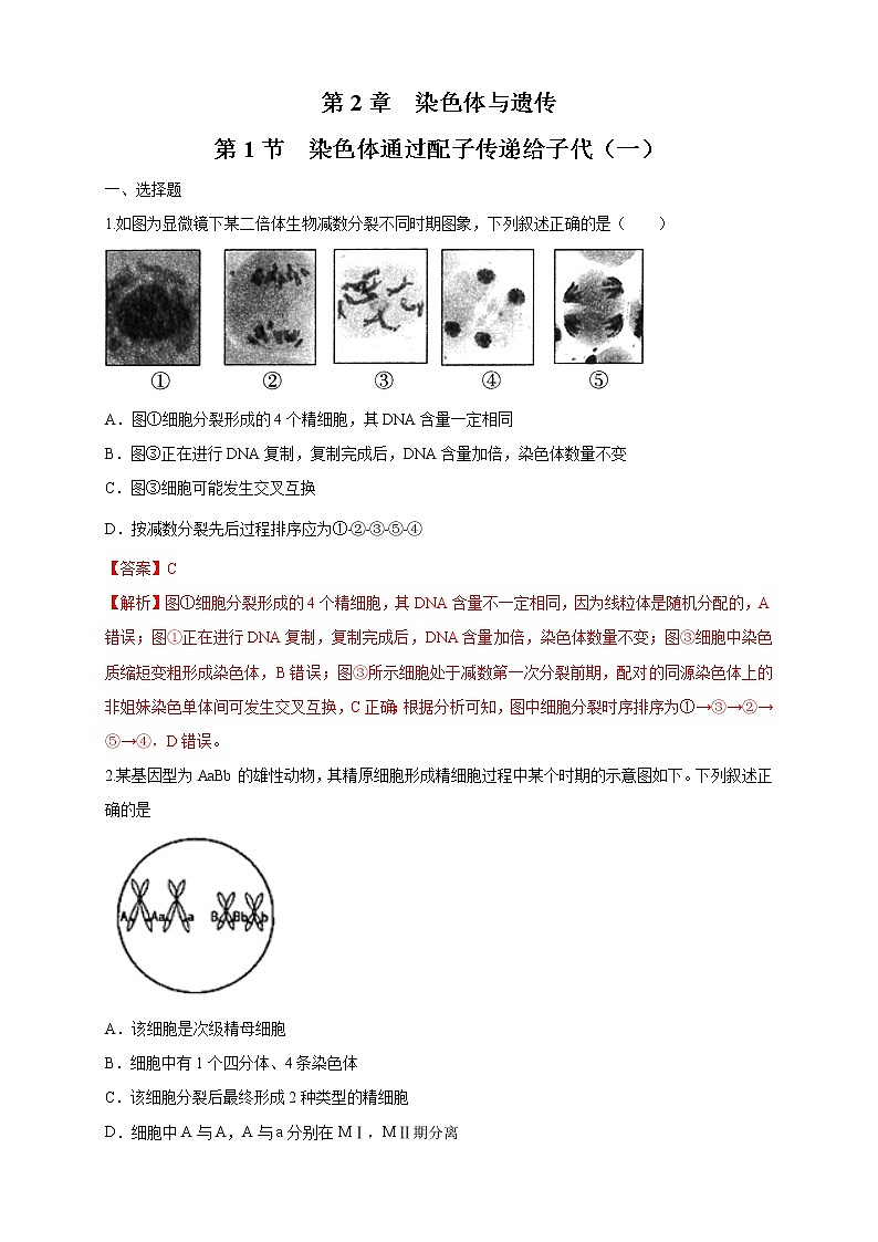 【新教材精創(chuàng)】2.1.1 染色體通過配子傳遞給子代 練習(xí)（2）（解析版）第1頁