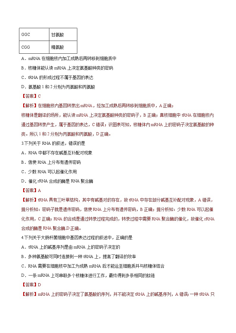 【新教材精创】3.4.1 基因控制蛋白质合成 练习(2)(解析版)第2页