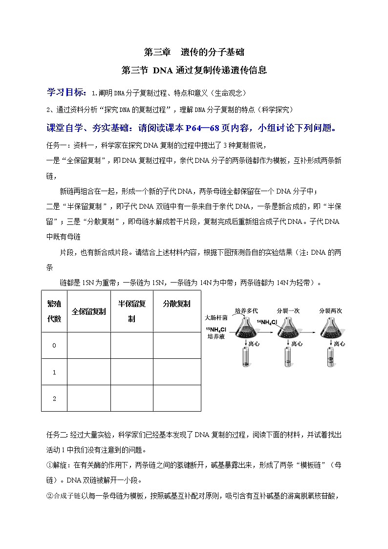 3.3 DNA通过复制传递遗传信息 学案2020-2021学年浙科版(2019)高一生物必修二01