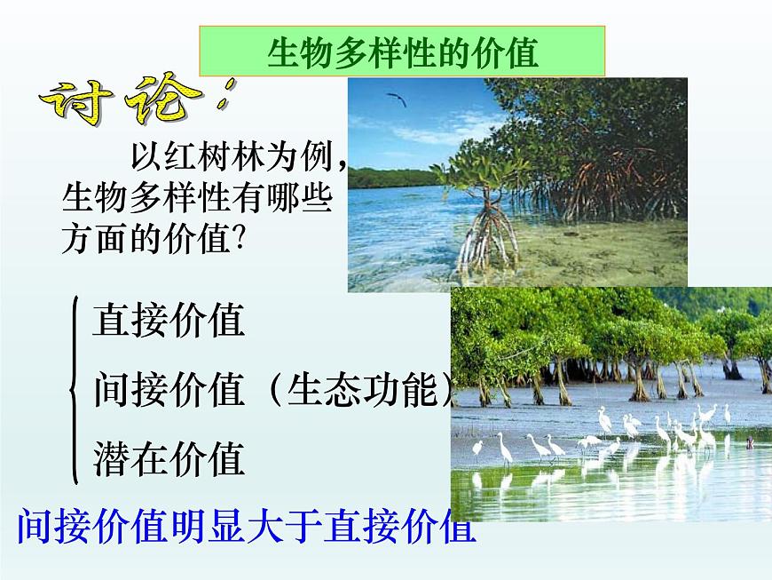 5.3 生物多樣性為人類(lèi)生存提供資源與適宜環(huán)境 課件2020-2021學(xué)年浙科版（2019）高一生物必修二第4頁(yè)