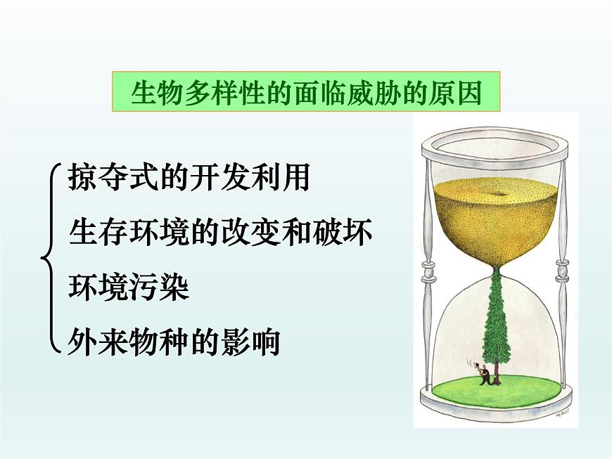 5.3 生物多樣性為人類(lèi)生存提供資源與適宜環(huán)境 課件2020-2021學(xué)年浙科版（2019）高一生物必修二第5頁(yè)