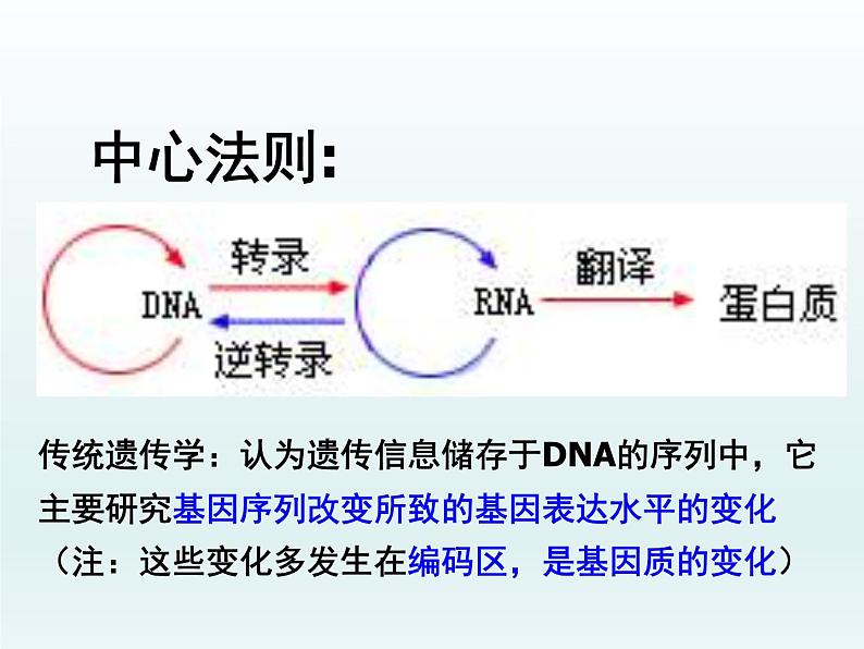 3.5 生物体存在表观遗传现象 课件2020-2021学年浙科版(2019)高一生物必修二02