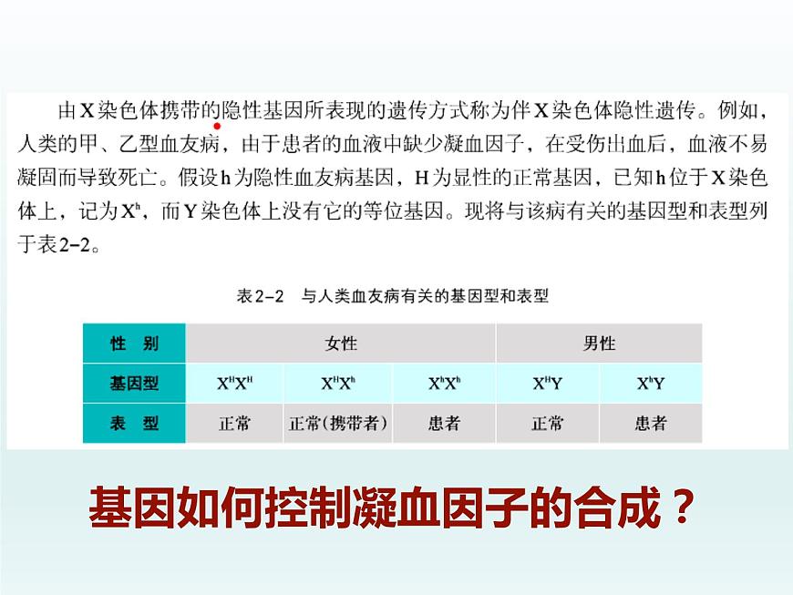 3.4 基因控制蛋白質(zhì)合成 課件2020-2021學(xué)年浙科版（2019）高一生物必修二第2頁