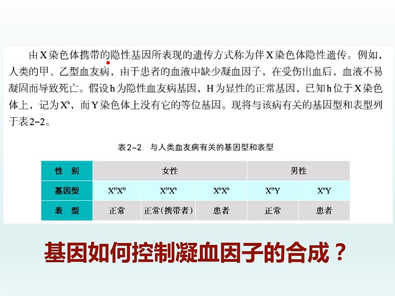 3.4 基因控制蛋白质合成 课件2020-2021学年浙科版(2019)高一生物必修二第2页