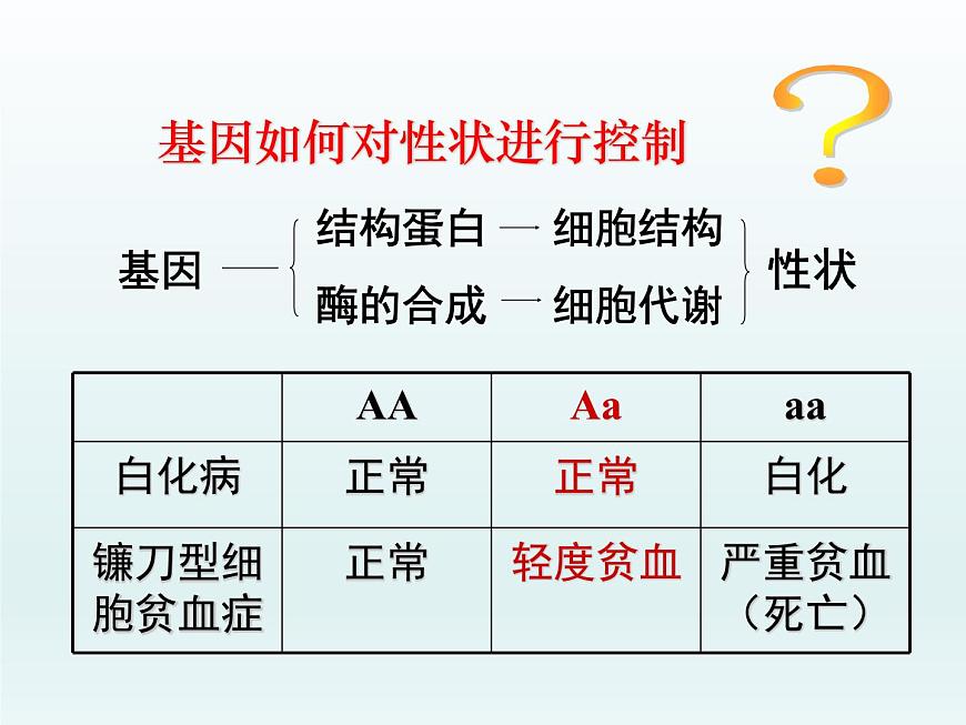 3.4 基因控制蛋白質(zhì)合成 課件2020-2021學(xué)年浙科版（2019）高一生物必修二第3頁