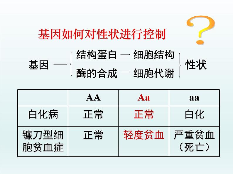 3.4 基因控制蛋白质合成 课件2020-2021学年浙科版(2019)高一生物必修二第3页