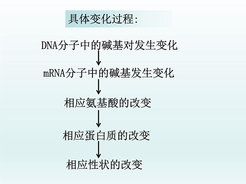 4.1 基因突变可能引起性状改变 课件2020-2021学年浙科版(2019)高一生物必修二第7页