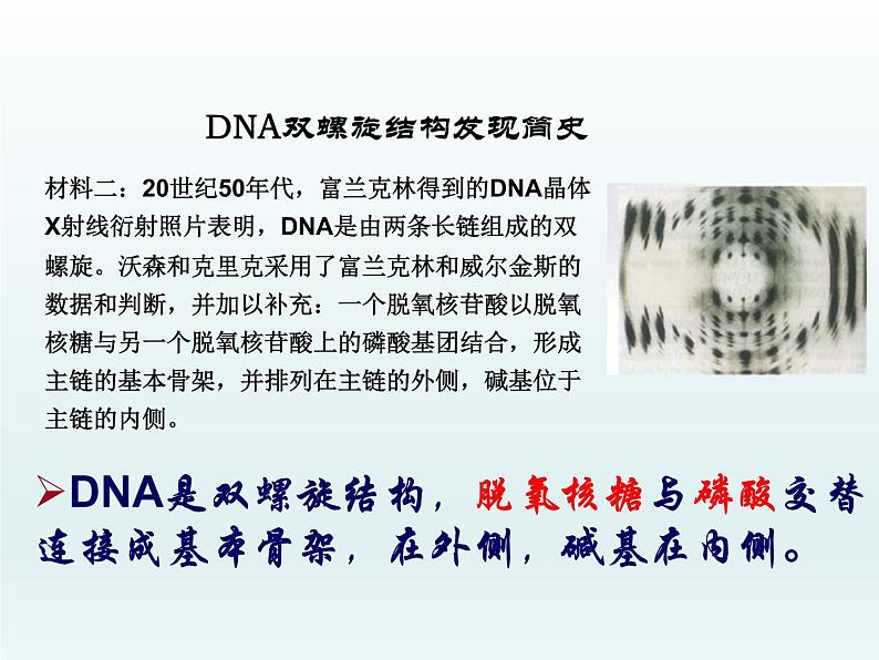 3.2 遗传信息编码在DNA分子上 课件2020-2021学年浙科版(2019)高一生物必修二07