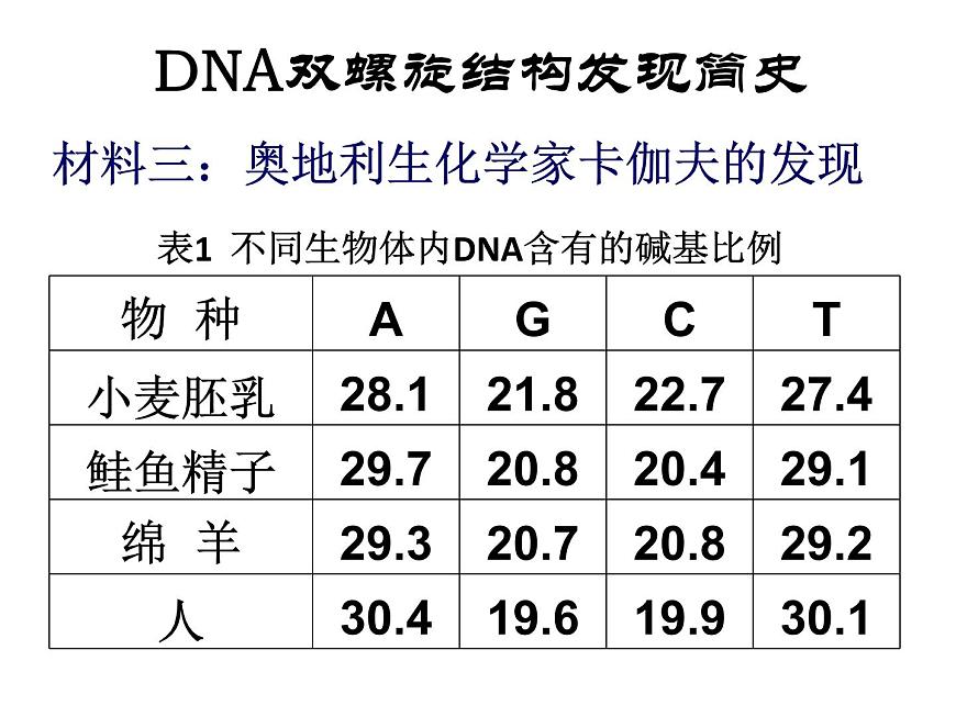 3.2 遺傳信息編碼在DNA分子上 課件2020-2021學(xué)年浙科版（2019）高一生物必修二第8頁