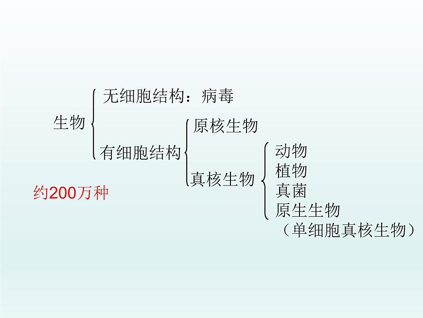 5.1 豐富多樣的現(xiàn)存物種來自共同祖先 課件2020-2021學(xué)年浙科版（2019）高一生物必修二第4頁(yè)