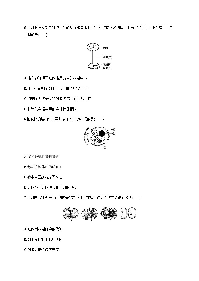 2.4 细胞核是细胞生命活动的控制中心-练习浙科版(2019)高中生物必修一02