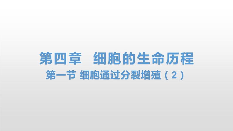 4.1 细胞通过分裂增殖(2) 课件浙科版(2019)高中生物必修一01