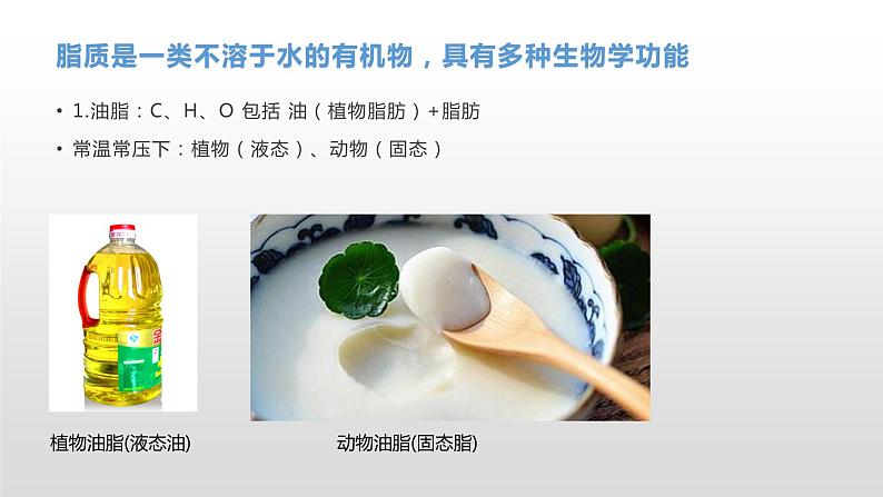 1.2 生物大分子以碳链为骨架(2、3)脂质 课件浙科版(2019)高中生物必修一(共34张PPT)04