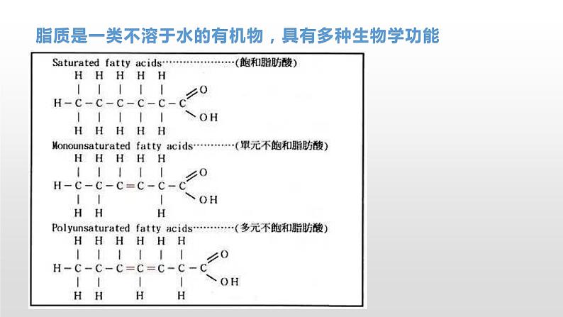 1.2 生物大分子以碳链为骨架(2、3)脂质 课件浙科版(2019)高中生物必修一(共34张PPT)08