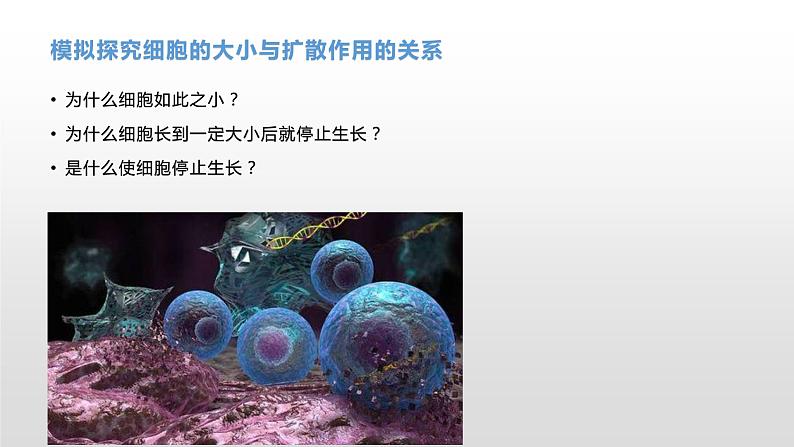 4.1 细胞通过分裂增殖(1) 课件浙科版(2019)高中生物必修一05